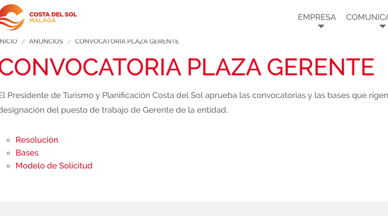 convocatoria gerente